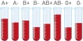 Blood stocks